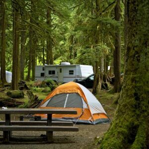 Best Campgrounds in Newfoundland